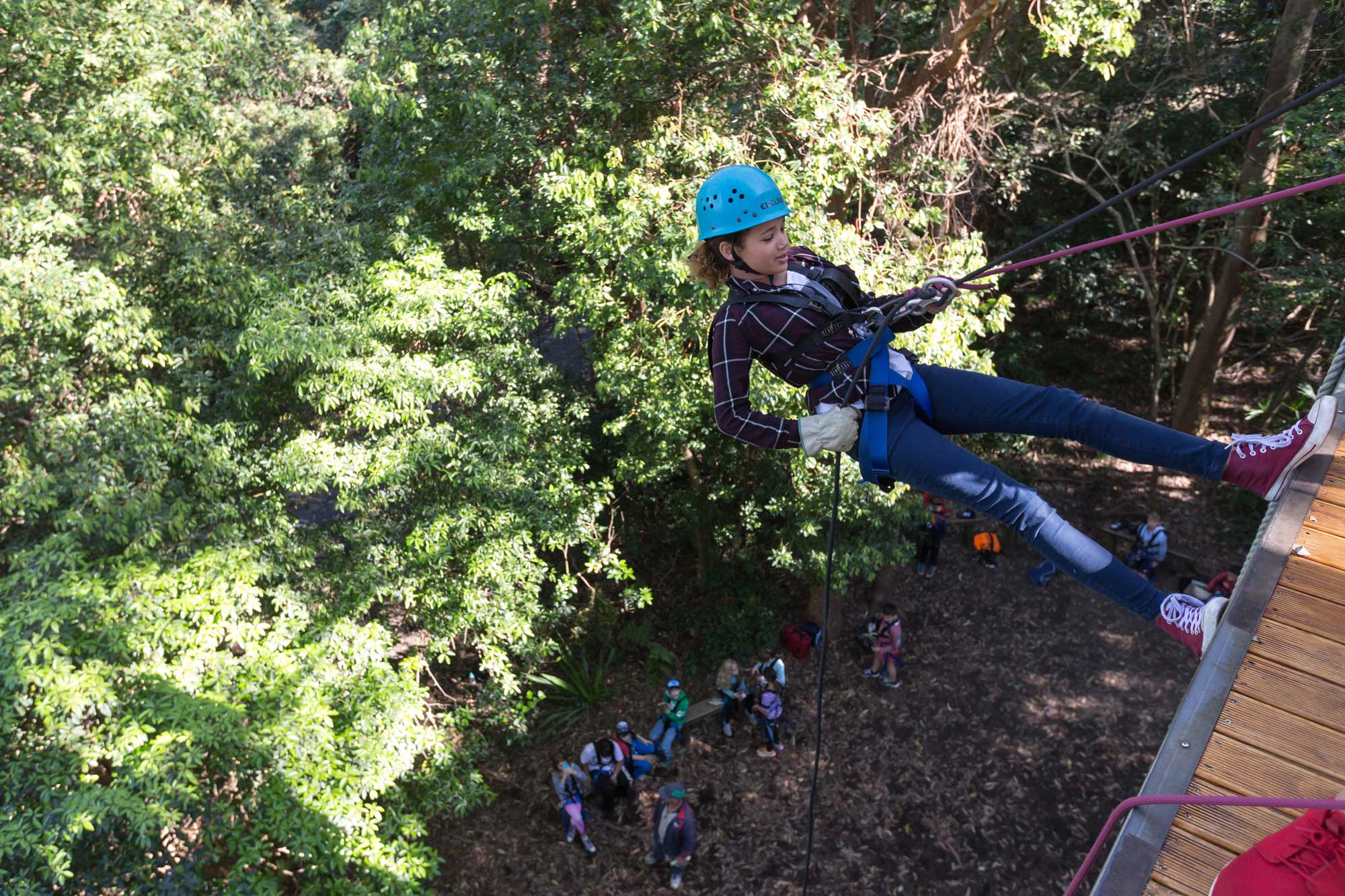 c packages Sydney Centre, Collaroy Beach Collaroy At  Abseiling the